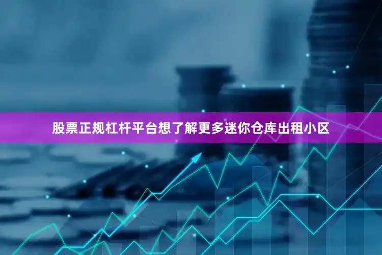 股票正规杠杆平台想了解更多迷你仓库出租小区