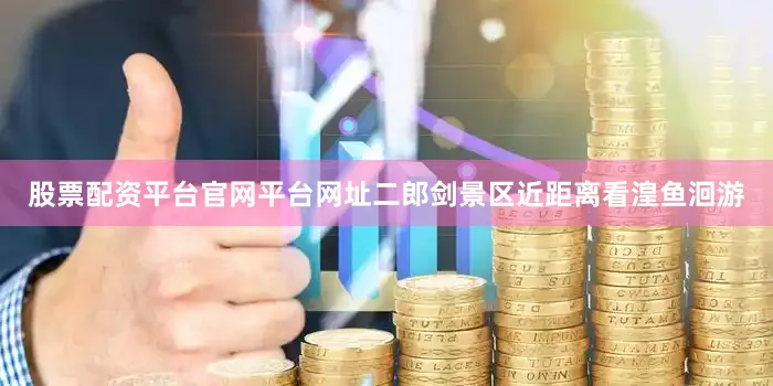 股票配资平台官网平台网址二郎剑景区近距离看湟鱼洄游